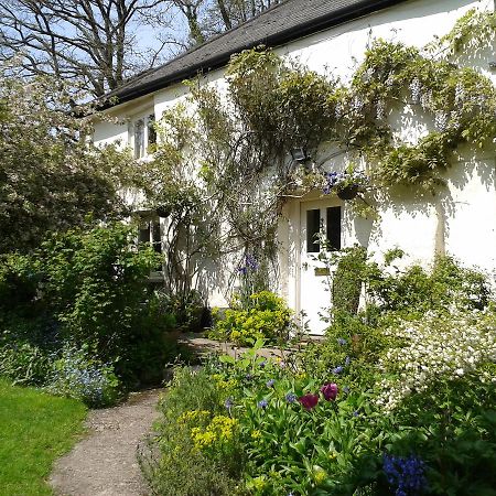 Tracebridge Cottage B&B Stawley 외부 사진