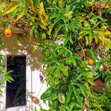 Tracebridge Cottage B&B Stawley 외부 사진