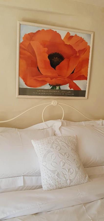 Tracebridge Cottage B&B Stawley 외부 사진
