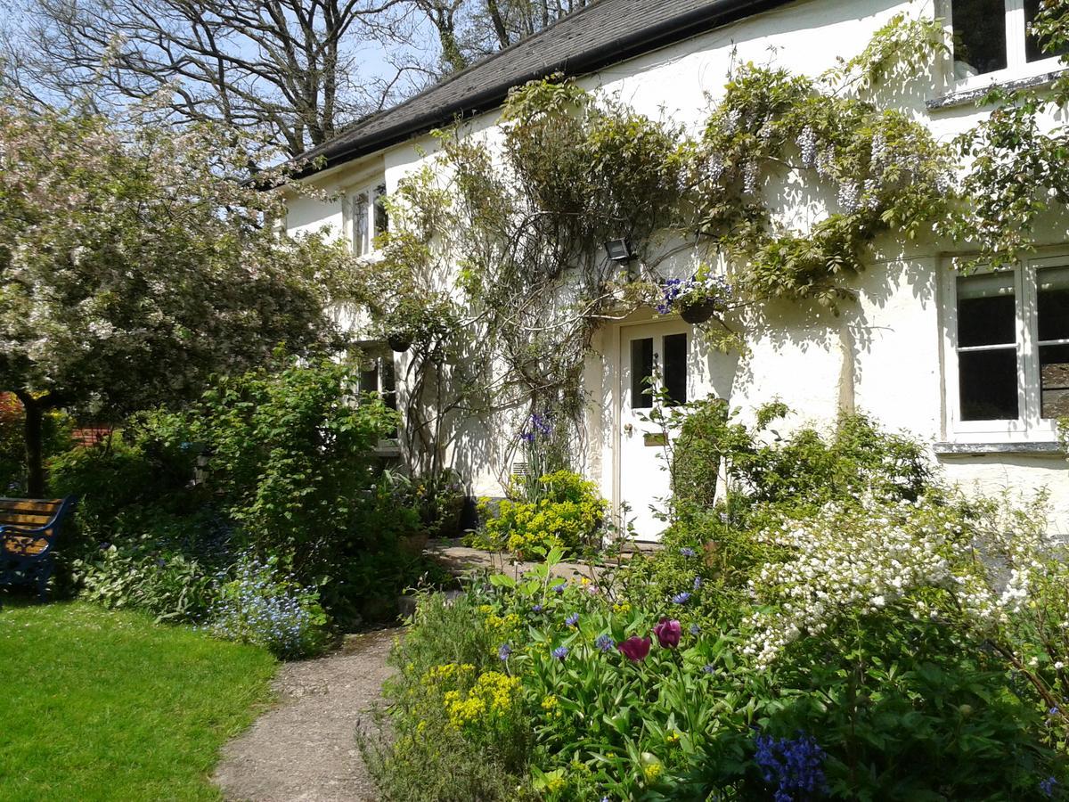 Tracebridge Cottage B&B Stawley 외부 사진