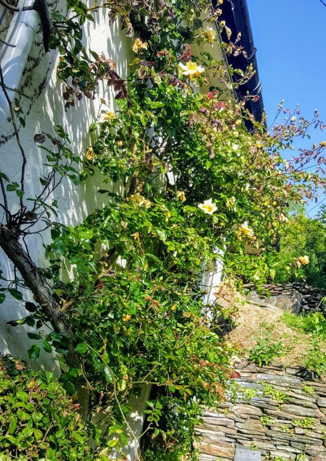 Tracebridge Cottage B&B Stawley 외부 사진